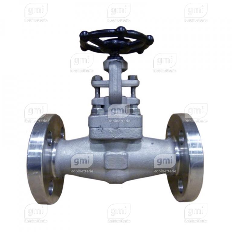 à soupape Inox Globe valve à brides 150 GMI — free download